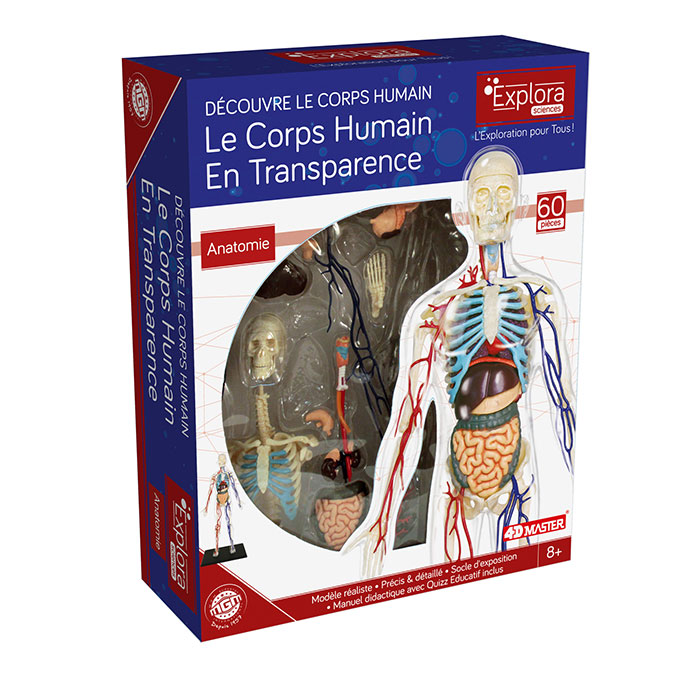 Coffret anatomie Le corps humain - Rougier&Plé Marseille