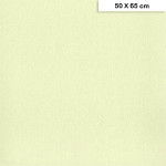 Papier à grain Etival Color 160 g/m² 50 x 65 cm - 92 Tilleul